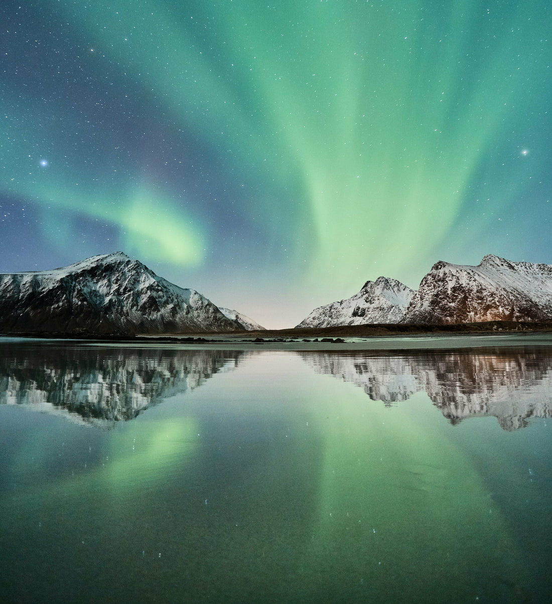 Collection ALASKA : Hivernale et captivante